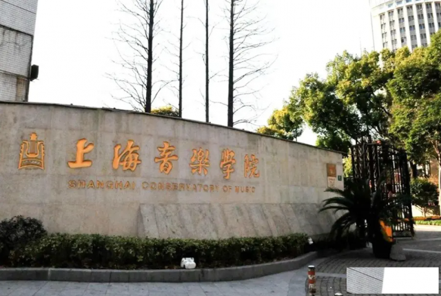 如何备考上海音乐学院，乐器演奏专业?