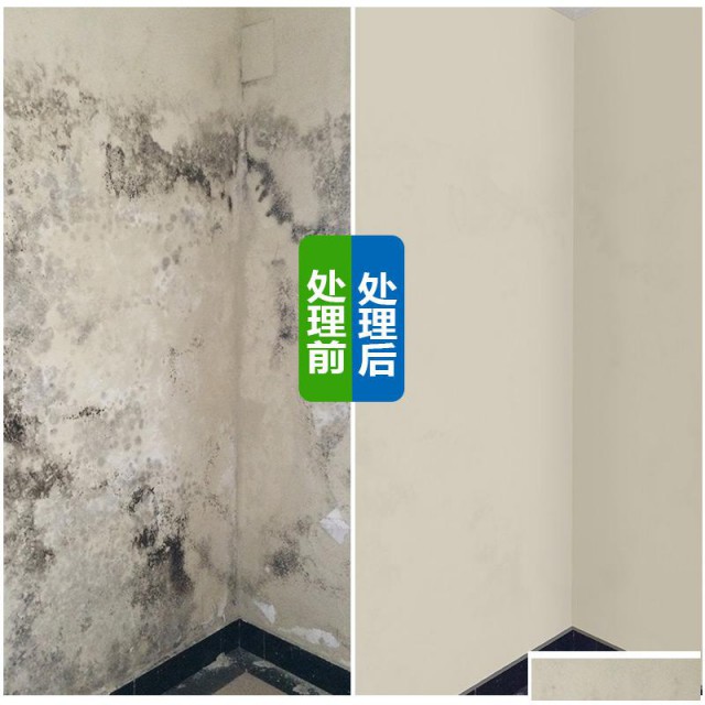 广州天河北墙面发霉处理，去除房子发霉，专业除霉公司