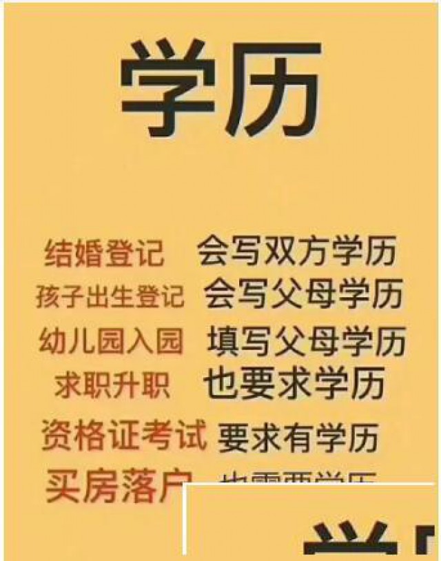 沈阳药科大学成人高考本科招生成考函授学历报名