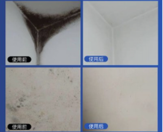 广州番禺除霉公司，房子墙壁天花板清理霉渍，上门除霉