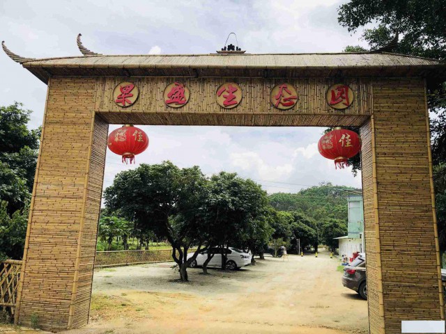 惠州暑期游玩好去处暑假游玩打卡网红地惠州果盛生态园