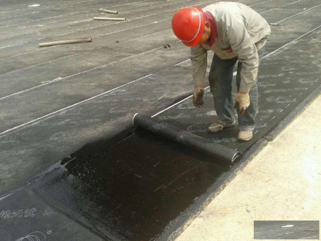 朝阳区专业防水公司