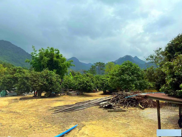 增城区白水寨旅游区附近12亩果园鱼塘农庄整体转让