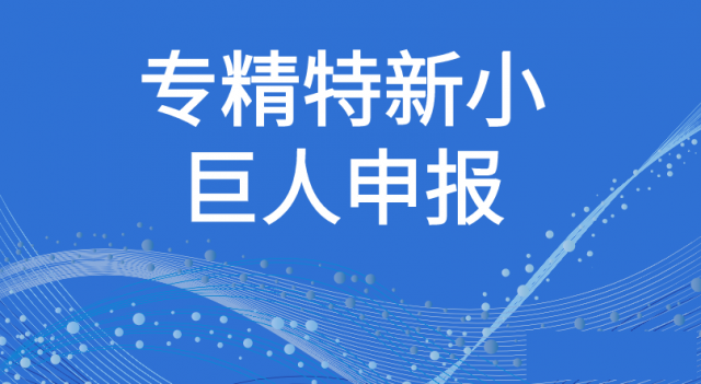 专精特新小巨人企业有哪些特点