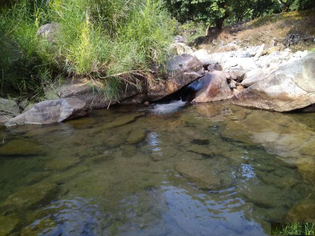 从化区温泉石门旅游区附近溪水边3.5亩果园整体转让