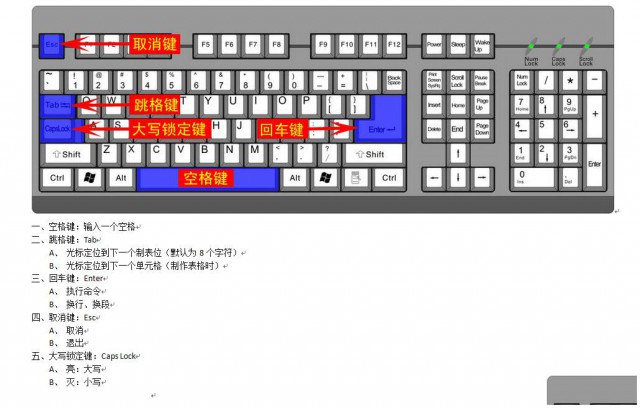 重庆曾家岩办公室文员电脑培训在什么地方价目表