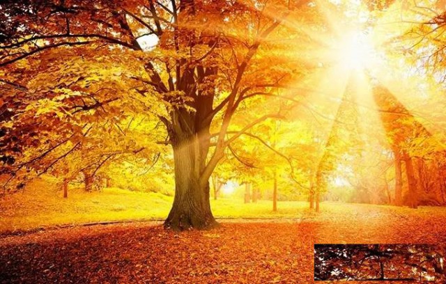 郑州市建筑公司股权整体转让房建市政电力二级总包资质