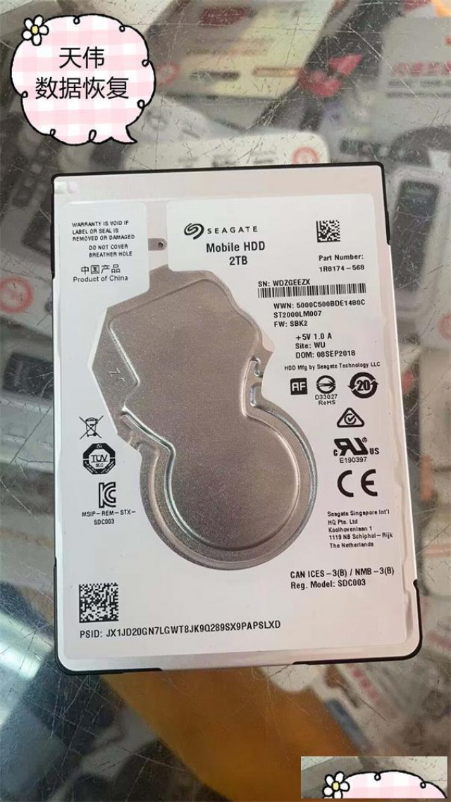 机械硬盘数据恢复天津（天伟）