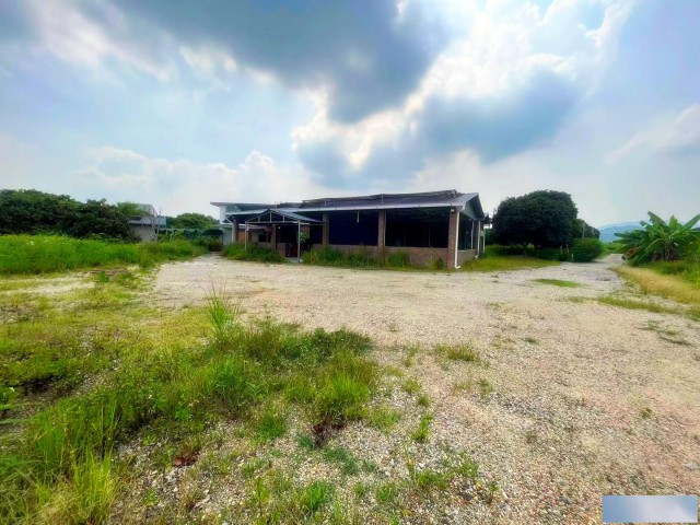 从化区城郊街旅游区25亩果园鱼塘房屋农庄整体出租