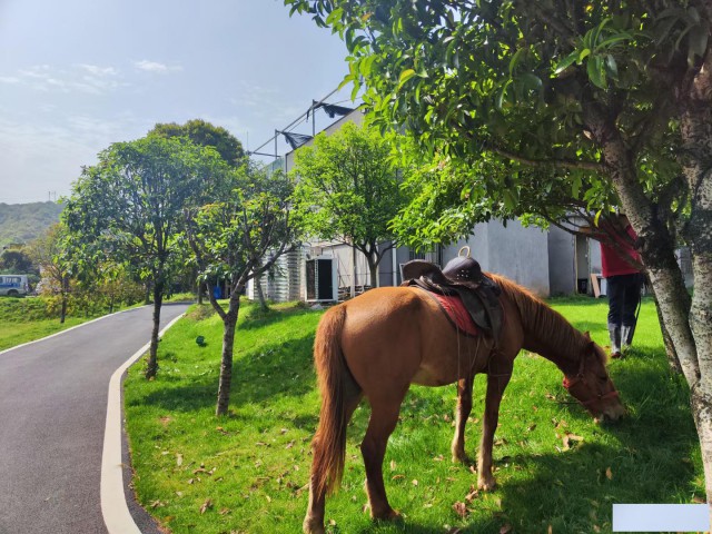 长沙农趣园99元一日游