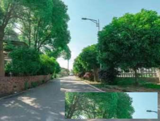 来源奕农庄吧！这里让你沐浴春光，徜徉乡村，看乡村美景。