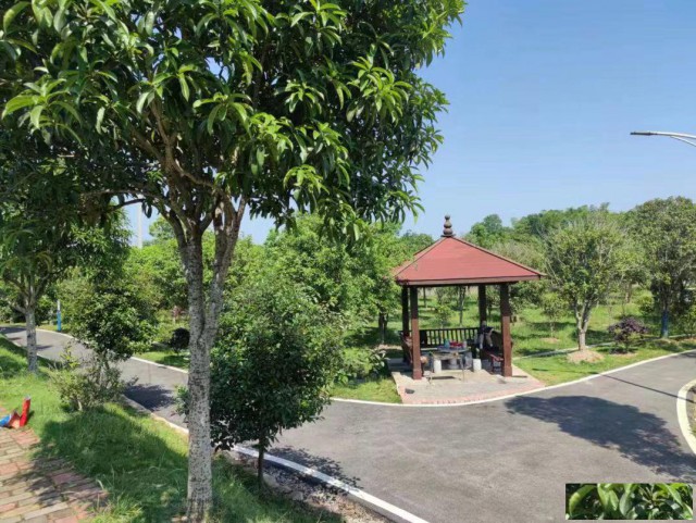 长沙团建烧烤天幕，源奕山庄夏日限定99元一日游