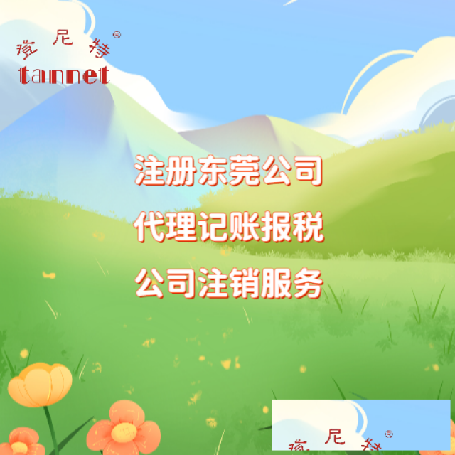 外籍人在东莞注册外资公司