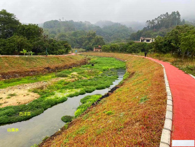从化区江埔工匠小镇旅游区溪水边1.5亩果园农庄转让