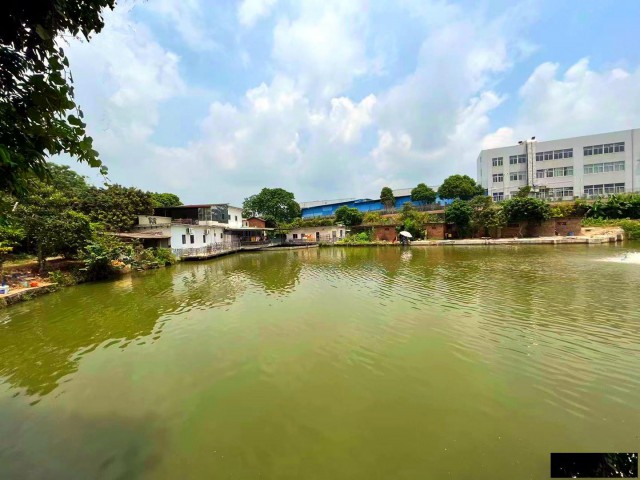 从化区明珠大道附近7亩鱼塘果园楼房农庄整体转让