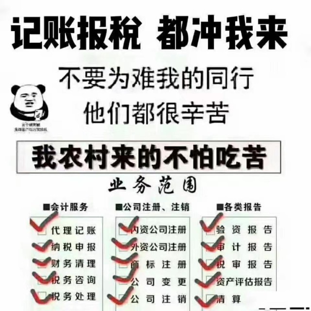 企业公司记账财务