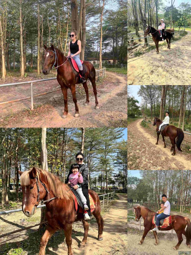 佛山云东海亲子骑马团建，亲子骑马感受牧民生活