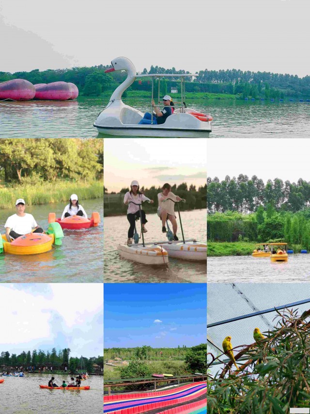 企业合作共铸辉煌—佛山三水小农街团建活动促进经济发展