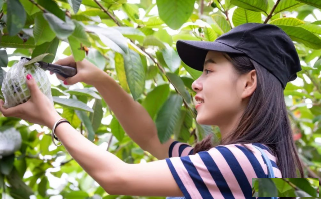 佛山陈村周边秋季公司团建拓展一定要去的地方