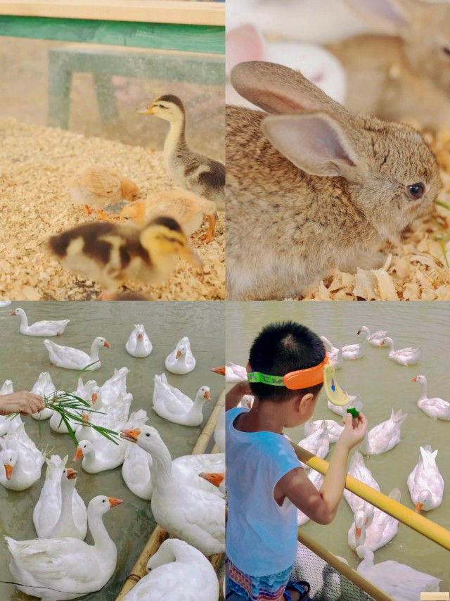 佛山沙头周边团建拓展培训