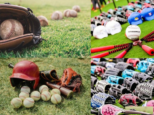 佛山明阳村周边水果采摘这里很棒