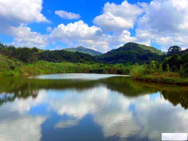 从化区城郊街旅游区附近溪水边15亩鱼塘整体出租