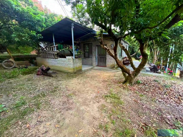 从化区温泉南平小镇旅游区6亩果园房屋农庄整体转让