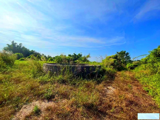 从化区鳌头人和附近60亩山地平地果园整体转让