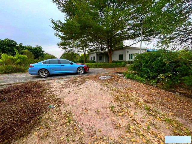 从化区鳌头镇有180亩平地绿化场苗圃场整体转让