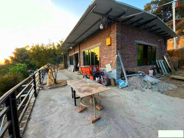 从化区城郊旅游区附近20亩果园房屋农庄整体转让