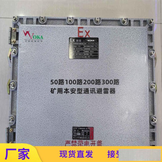 矿用本安型防雷箱100对井口EX通讯防雷箱井下防爆接线箱