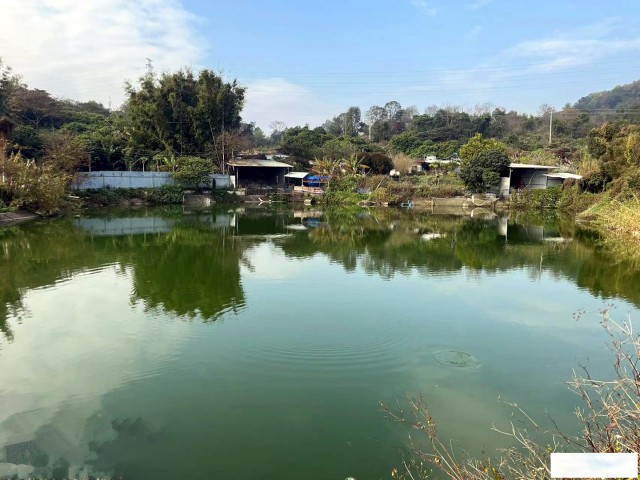 从化区城郊街有8亩平地果园鱼塘房屋农庄整体转让