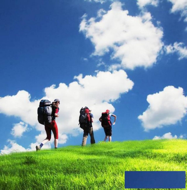 我想办一家国内游旅行社该怎么办