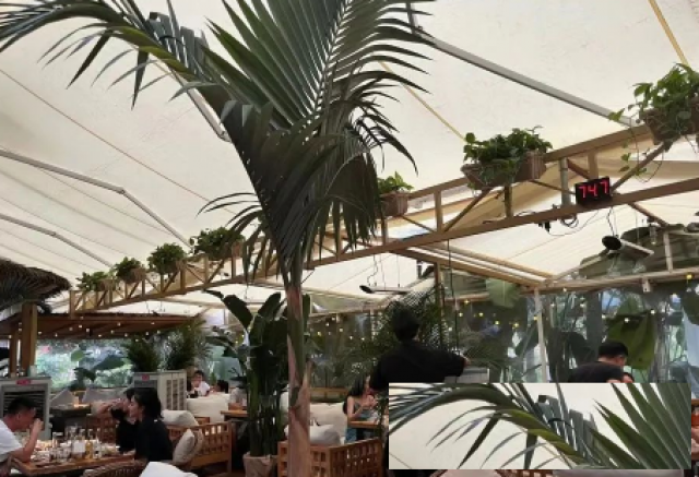 温暖你的民谣时光