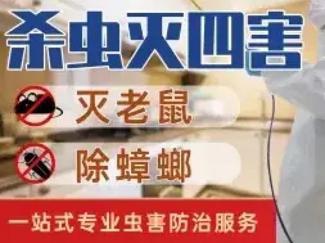 灭四害、鼠蟑蚊虫消杀服务