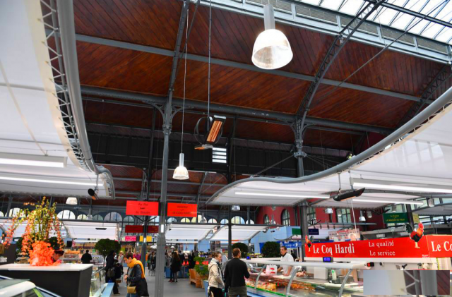 欧洲之行和伟而特