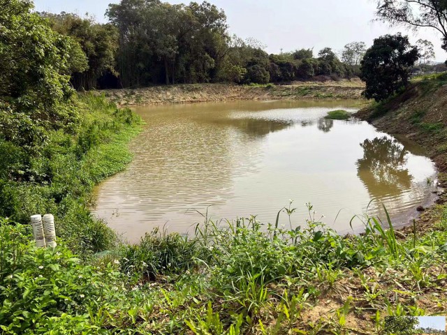 从化区棋杆墟附近20亩鱼塘农庄整体出租