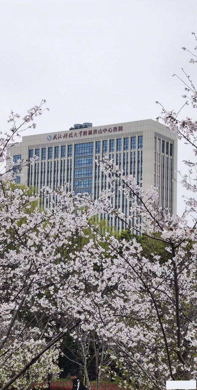 武科大附属洪山中心医院—皮肤科美容