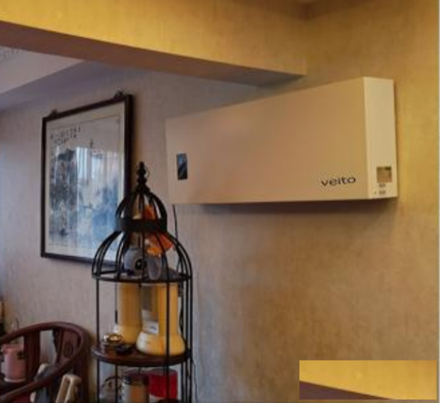 伟而特veito和幼儿健康