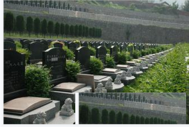 沈阳龙生墓园十佳墓园免费参观墓园节假日免费接送