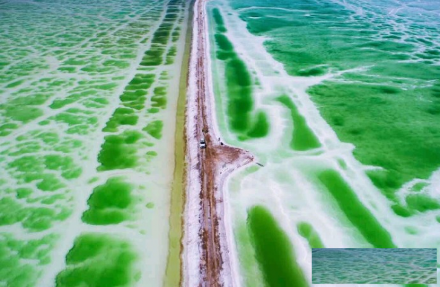 北京哪里可以带小孩玩北京蝴蝶谷亲子乐园七彩童年的艺术森林