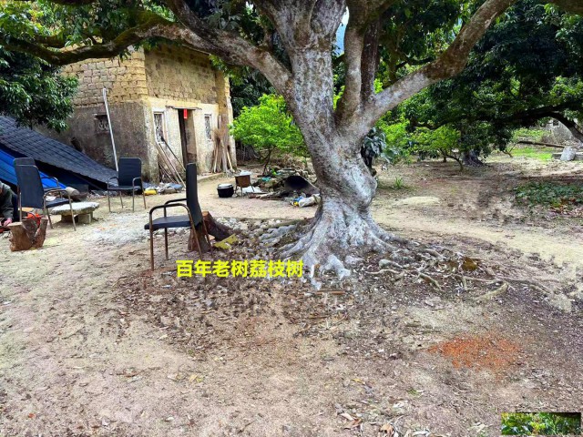 从化区良口旅游区附近10亩果园农庄整体转让