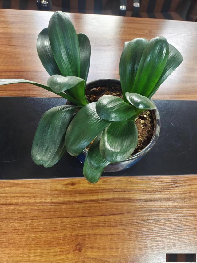 郑州市污染修复工程乙级资质平成怎么维护需要注意哪些事项