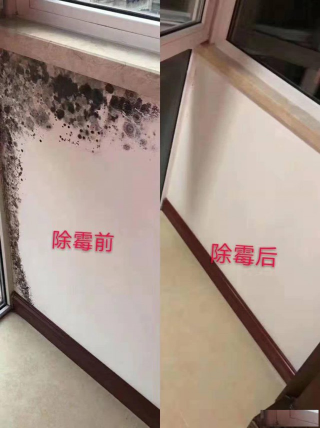 广州除霉公司，全屋深洁除霉，房屋消毒