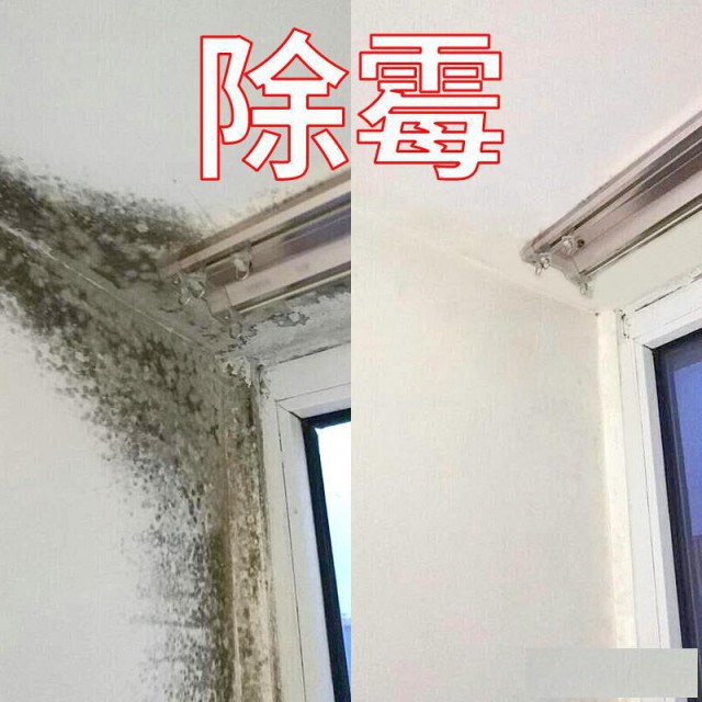 白云区沙太路家里墙壁天花发霉及时清理快速除霉服务