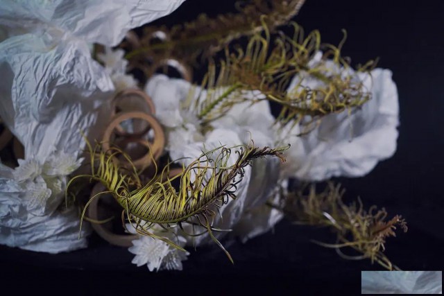 文物商店的注册要求