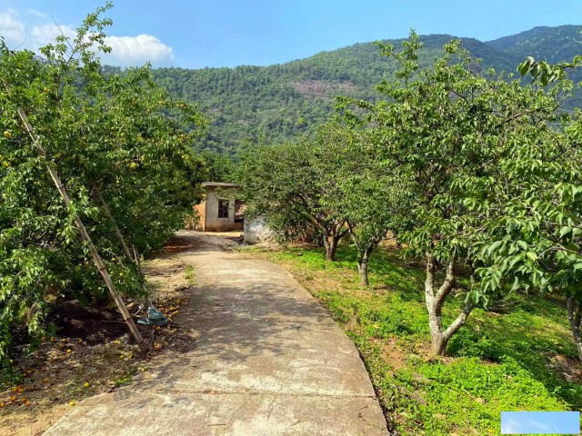 从化区流溪旅游区河湖边18亩果园房屋农庄整体转让