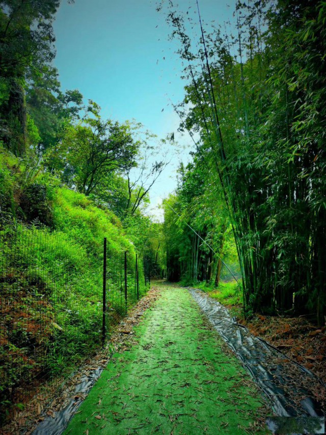 海珠区附近清明团建携手踏青共铸团队情