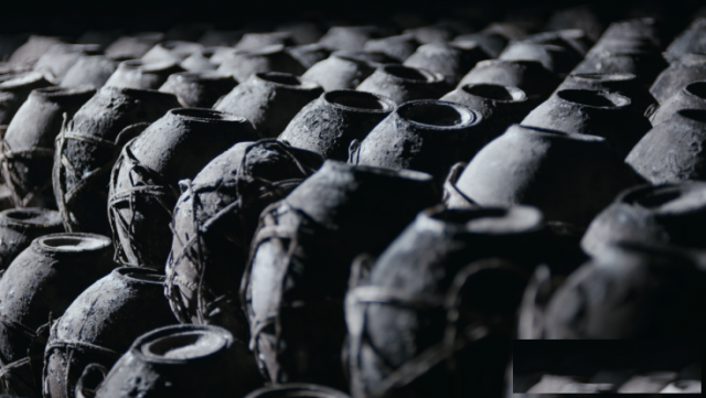 揭秘九江双蒸为什么“醒得快，轻负担”