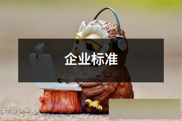 湖北企业标准编写备案制定ISO认证服务认证